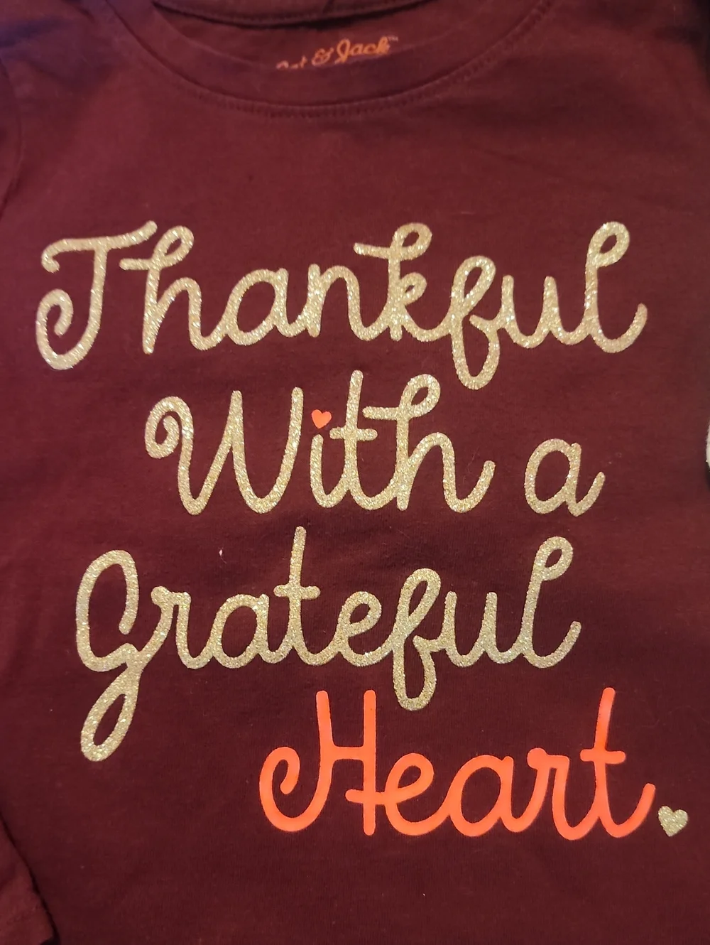 Sz 4T Cat & Jack Burgundy Long Sleeve Top with Cream Sparkle Pants